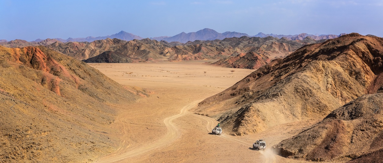 Desert Safari