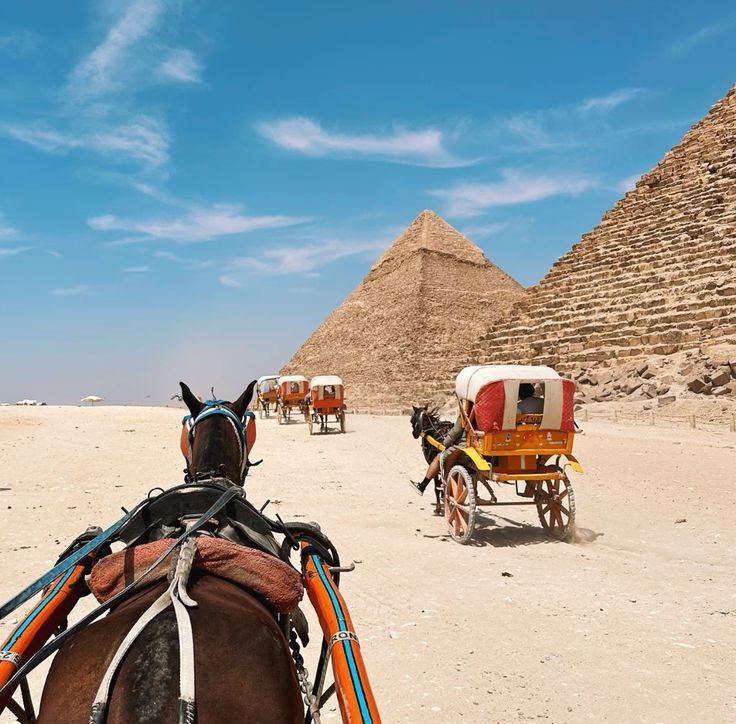 pyramids horse