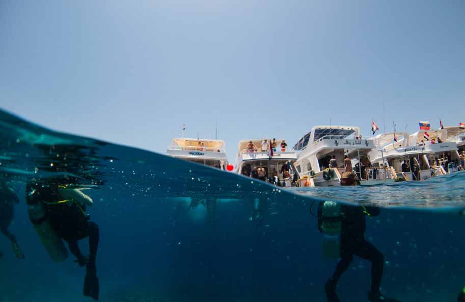 snorkeling
