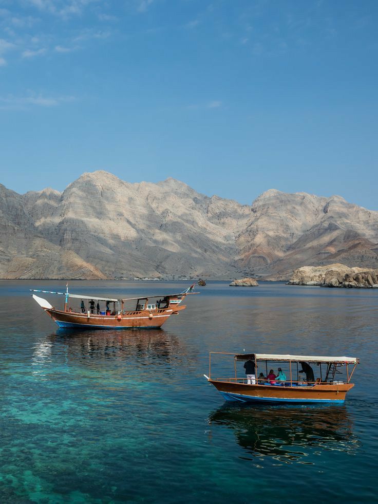 Aqaba Trips