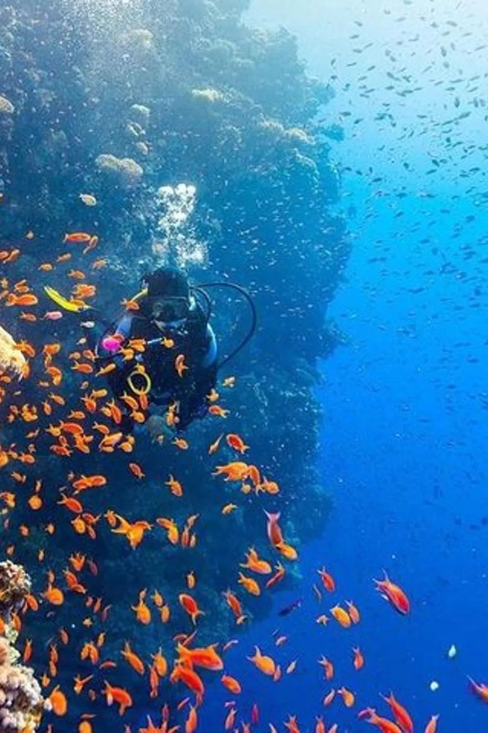 Red Sea Hurghada