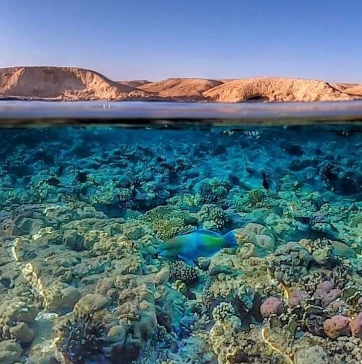 Red Sea Hurghada