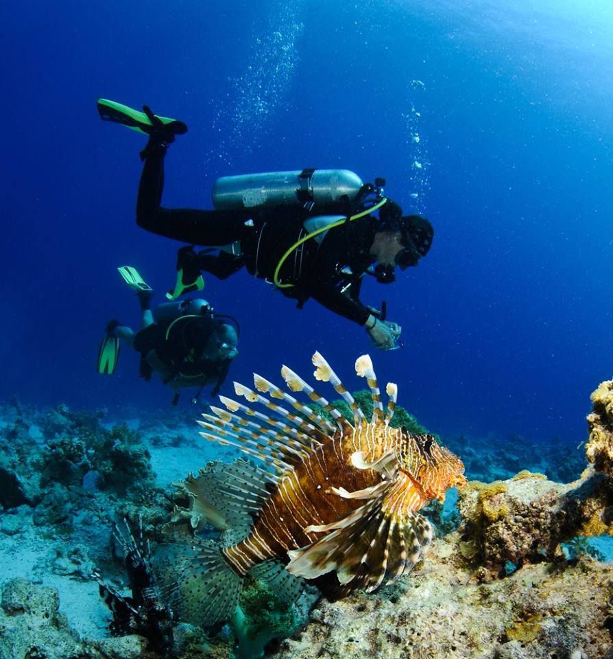 Red Sea Hurghada